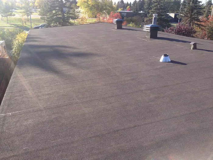 Albatross Roofing Picture 5