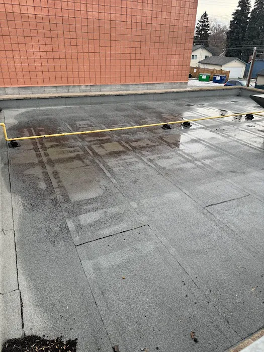 Albatross Roofing Picture 6