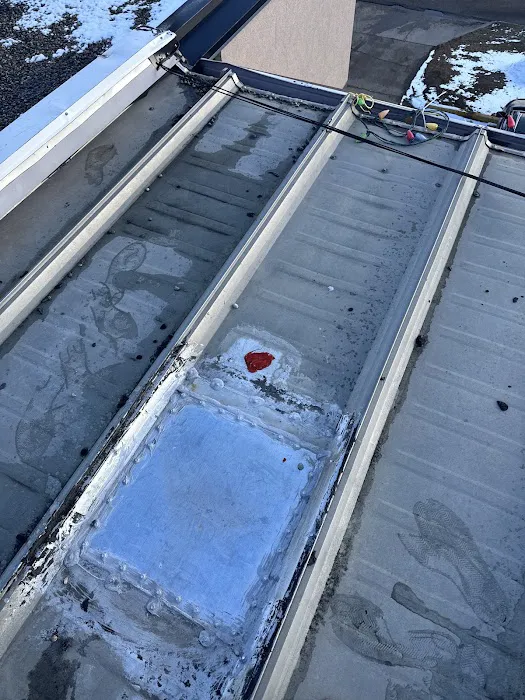 No Water Roofing Picture 8