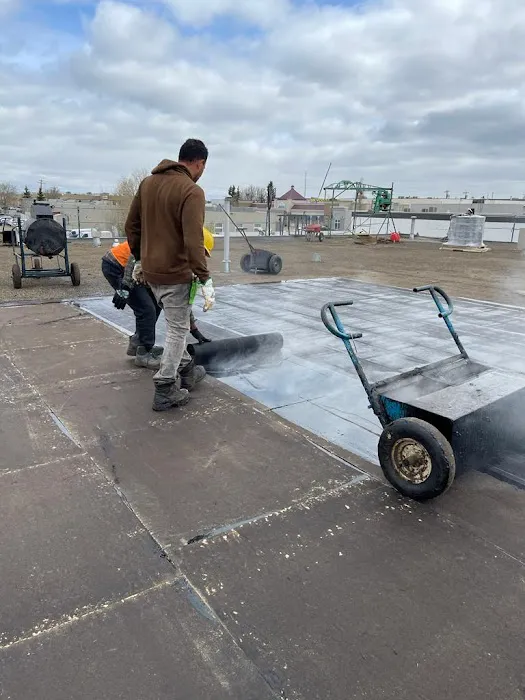 Upward Roofing AB.Commercial & leak repairs LTD Picture 6