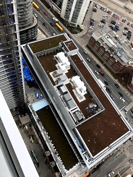 Toronto Green Roof Inc. Picture 2