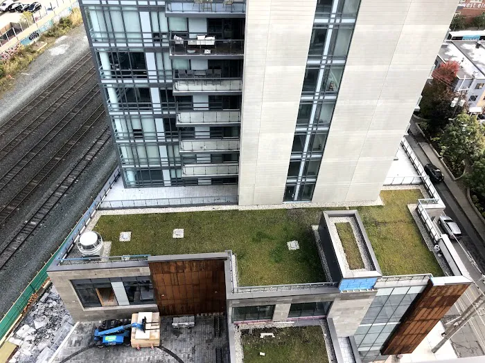 Toronto Green Roof Inc. Picture 1