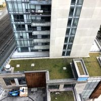 Toronto Green Roof Inc. ico