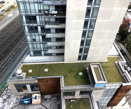 Toronto Green Roof Inc.