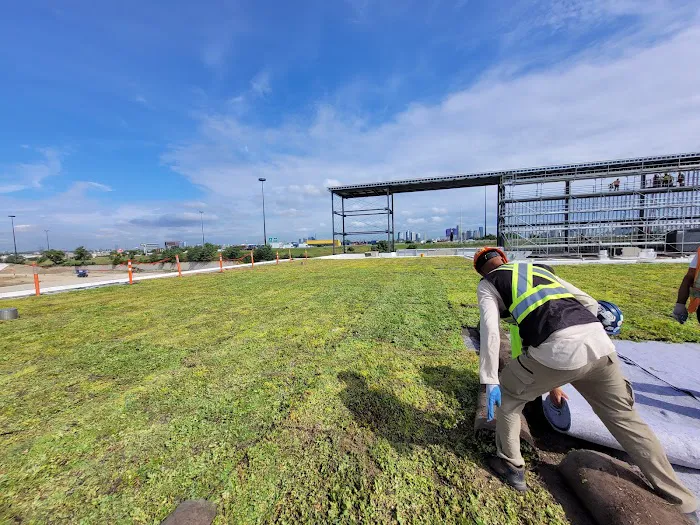 Toronto Green Roof Inc. Picture 8