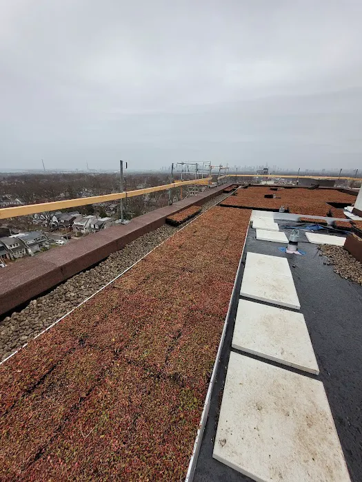 Toronto Green Roof Inc. Picture 7