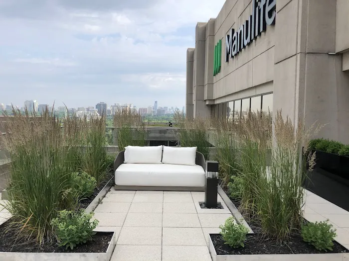 Toronto Green Roof Inc. Picture 5