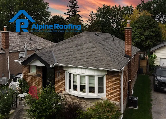 Alpine Roofing Picture 6
