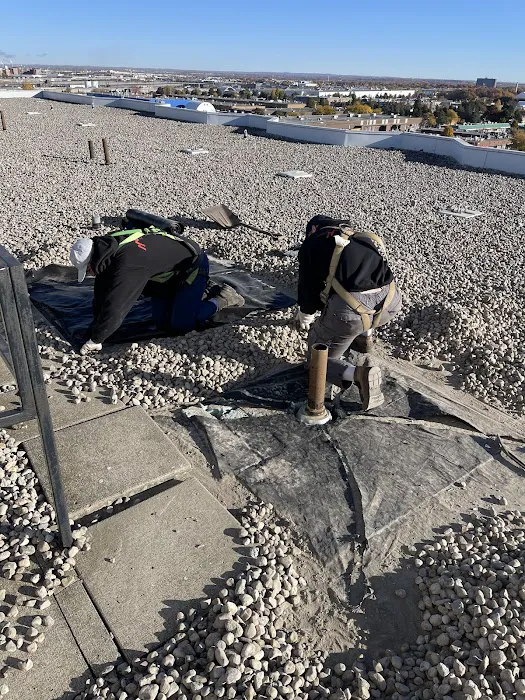 Advanced Flat Roof Systems Picture 10