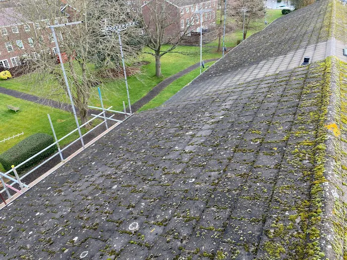 Pioneer Roofing & Construction Picture 5