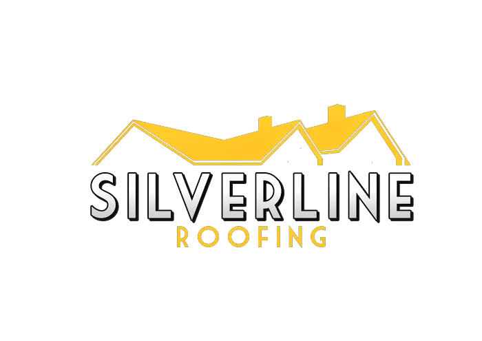Silverline Roofing Ltd Picture 6