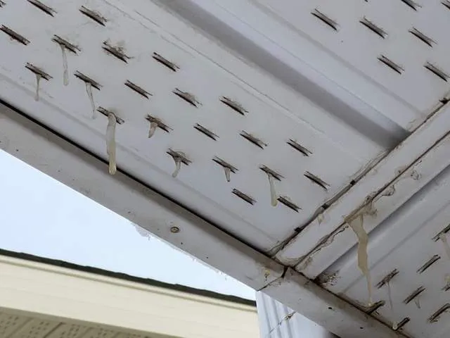 Fraser Shingling & Exteriors Picture 1