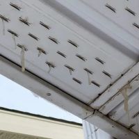 Fraser Shingling & Exteriors ico