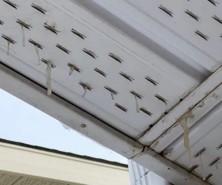Fraser Shingling & Exteriors