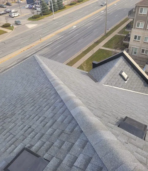 Green Roofing Solutions Picture 4