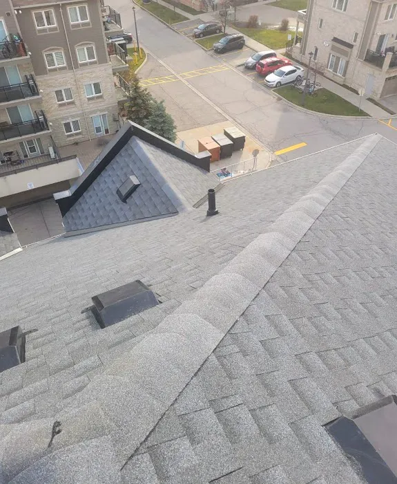 Green Roofing Solutions Picture 3