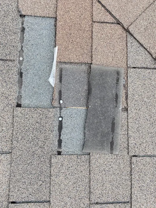 Sunlight Roofing Ltd. Picture 7