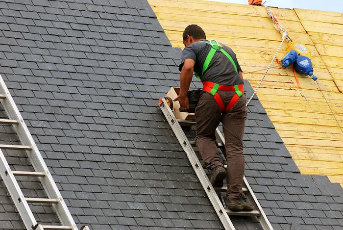 Roof Dog Roofing Picture 3