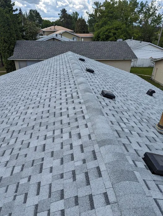 Roof Dog Roofing Picture 1