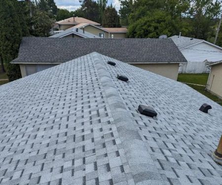 Roof Dog Roofing