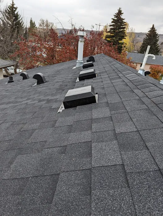 PRO-MASTER ROOFING LTD Picture 2
