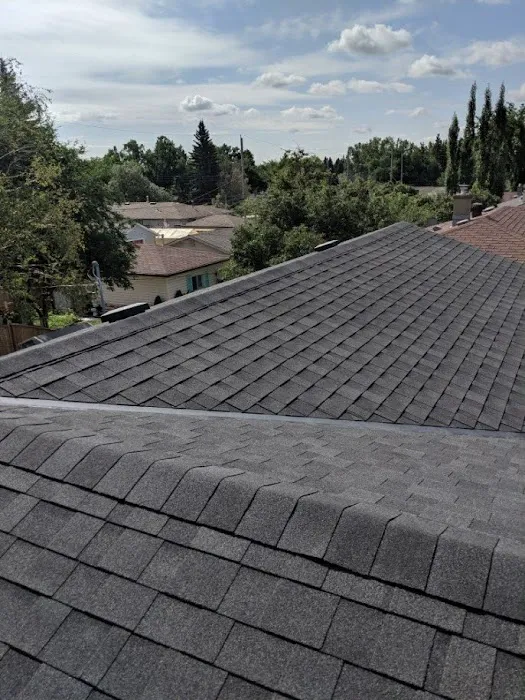 PRO-MASTER ROOFING LTD Picture 4