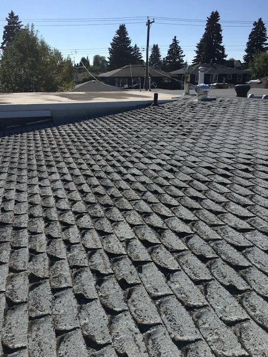 PRO-MASTER ROOFING LTD Picture 9