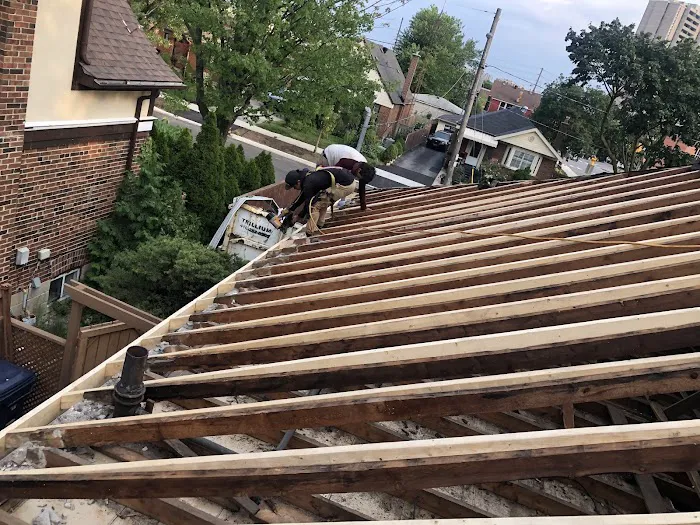 Roofing Monkeys Picture 6