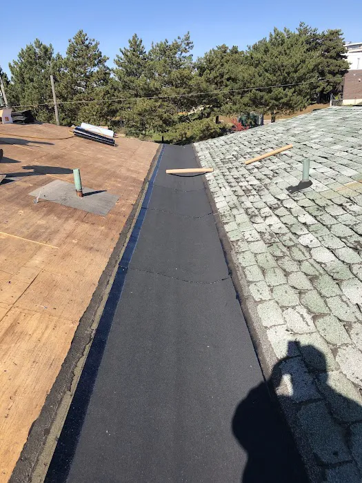 Flat Roofs Toronto Picture 3