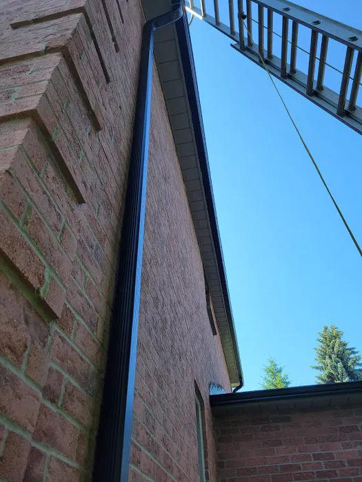 Three Bro Squirrels Roofing Ltd. Picture 8
