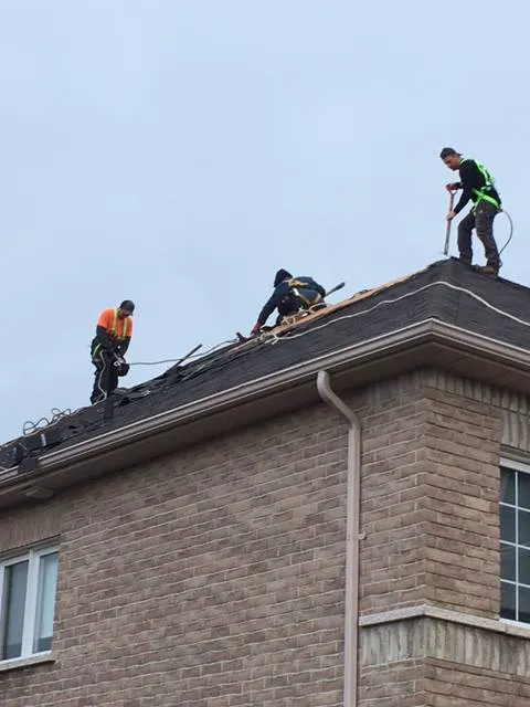 Best Roofer & Renovation Picture 2