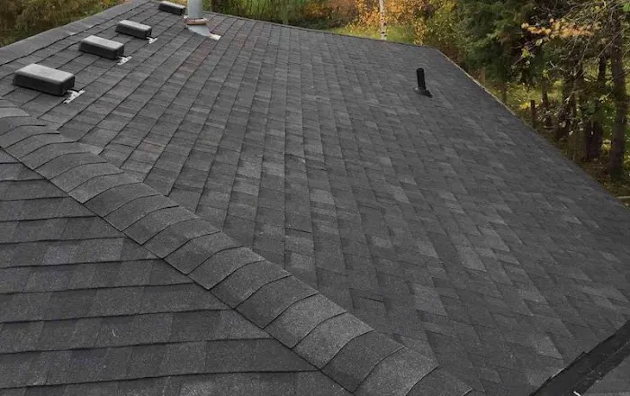 Best Roofer & Renovation Picture 3