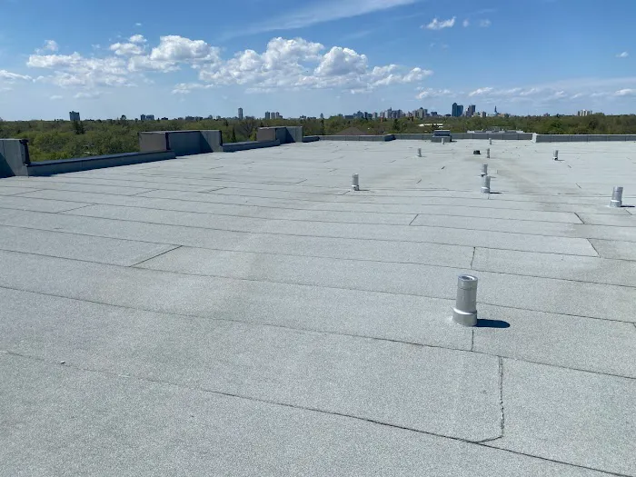 FORLIFE NICA ROOFING (FLAT ROOFING COMPANY) Picture 7