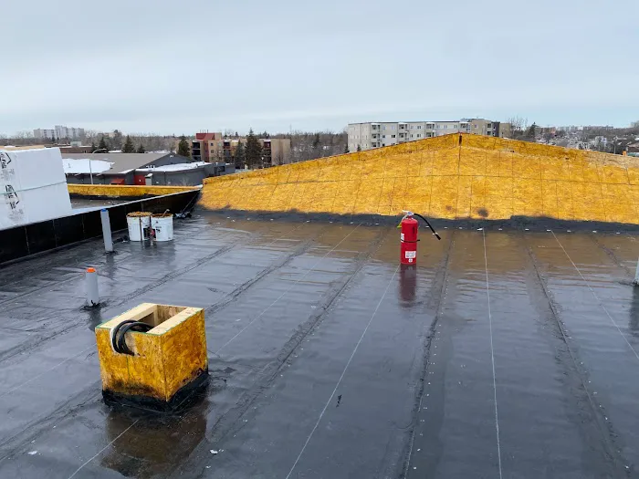 FORLIFE NICA ROOFING (FLAT ROOFING COMPANY) Picture 5