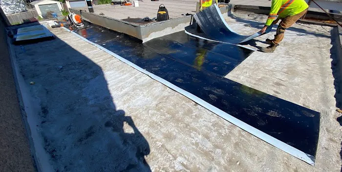 FORLIFE NICA ROOFING (FLAT ROOFING COMPANY) Picture 9