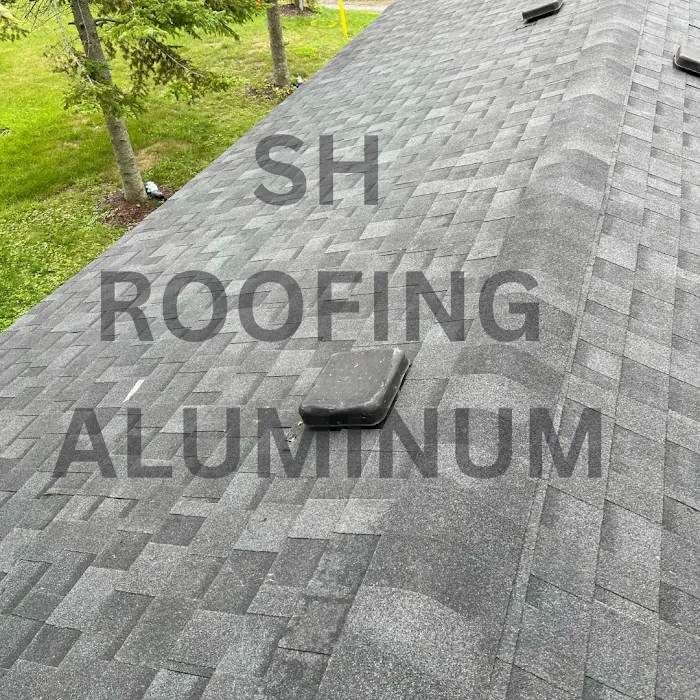 SH Roofing Aluminum Picture 6