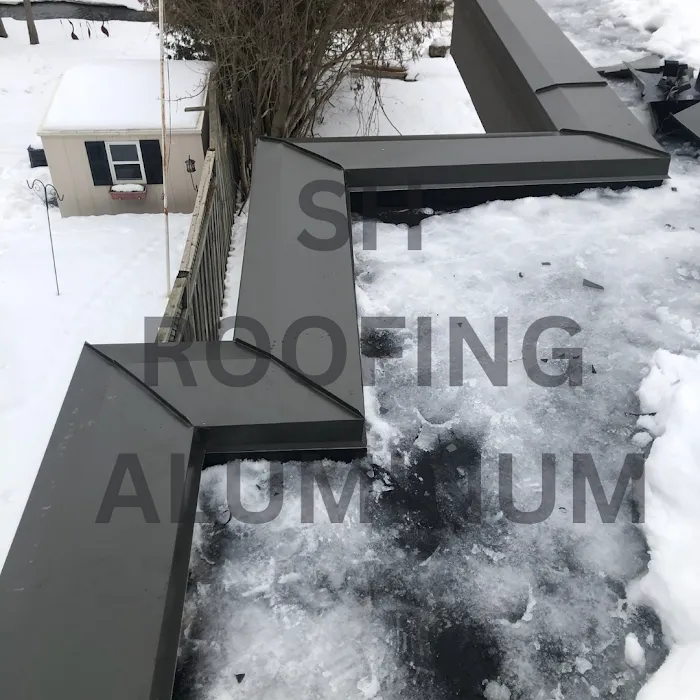 SH Roofing Aluminum Picture 3
