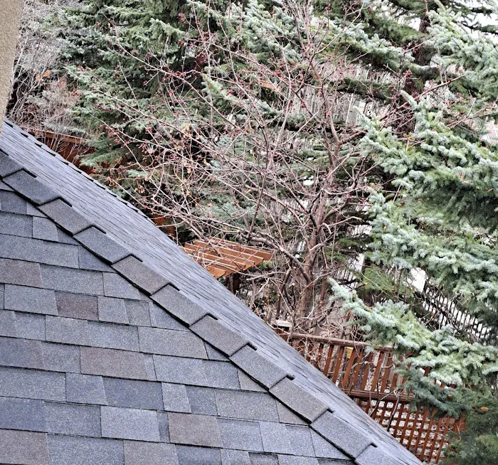 National Star Roofing Inc Picture 2