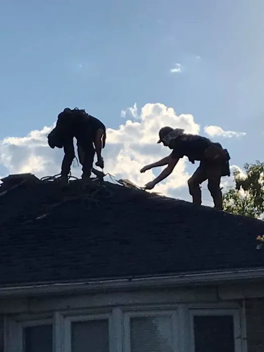 Premier Roofing Picture 6