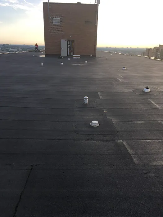 Stark Roofing Picture 1