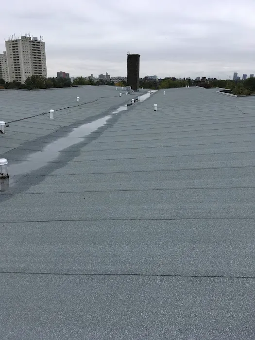 Stark Roofing Picture 3