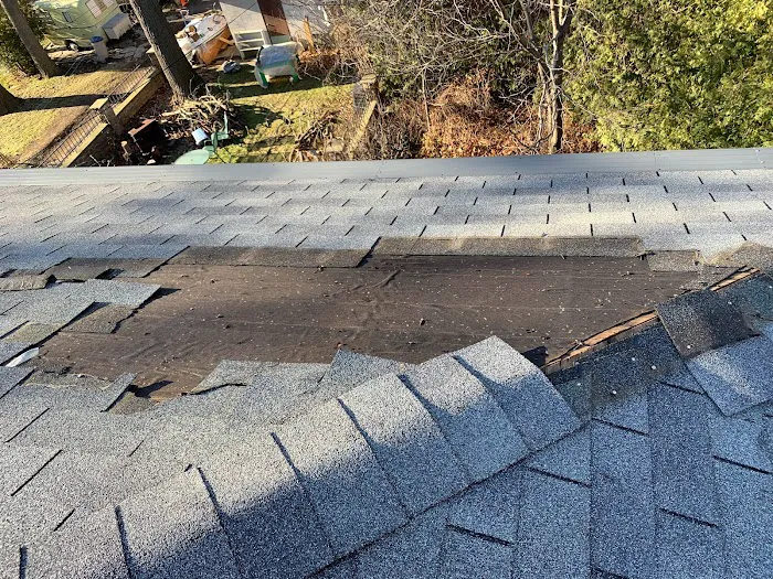 Top Roof Repair Picture 4