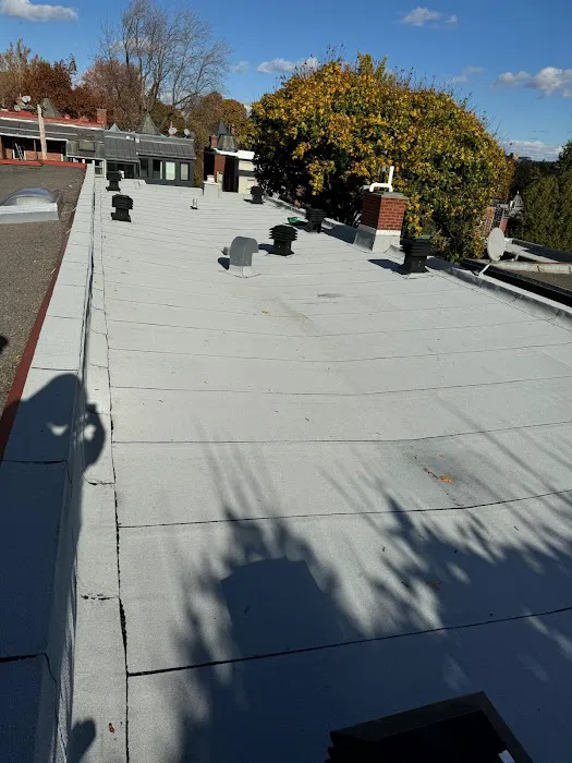 Roof Repair 99 Picture 2