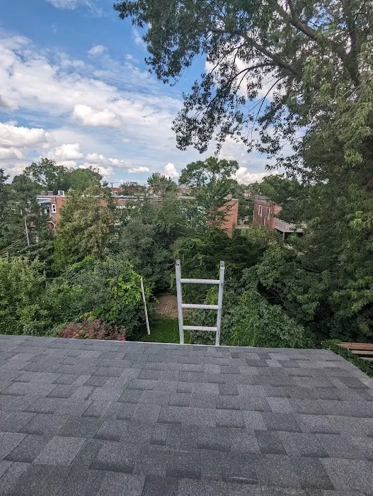 Roof Repair 99 Picture 4