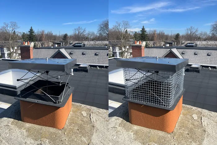 Durable Roofing & Repairs Picture 8