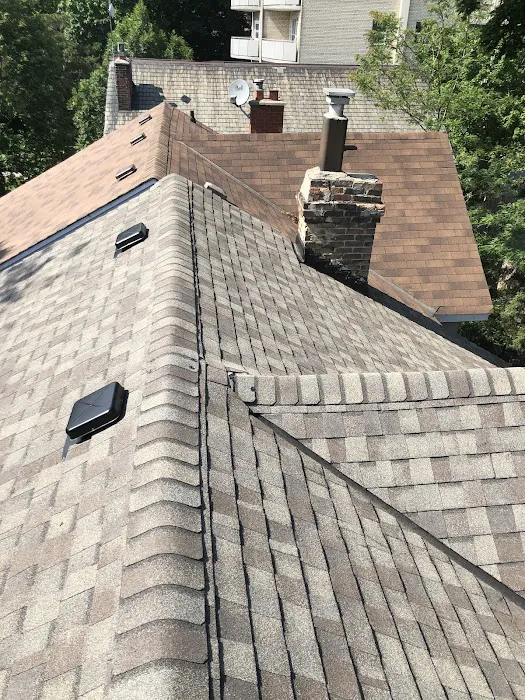 Downtown Roofing Picture 4
