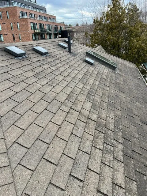 E W Smith Roofing - Toronto Picture 10