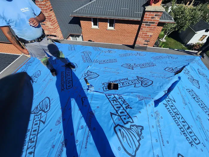 Alba Tech Roofing Picture 8