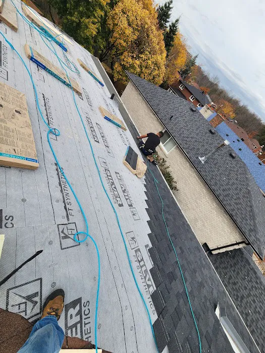Alba Tech Roofing Picture 5