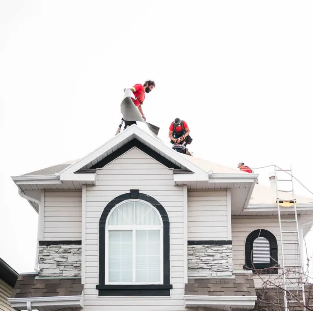 Advanced Level Roofing Picture 6